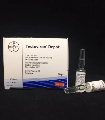 bayer testosterone enanthate 250mg